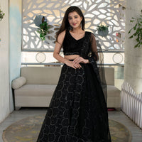 Black Organza Lehenga With Velvet Blouse