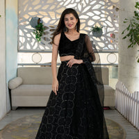 Black Organza Lehenga With Velvet Blouse