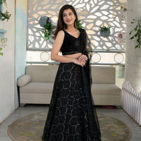 Black Organza Lehenga With Velvet Blouse