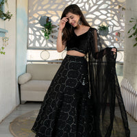 Black Organza Lehenga With Velvet Blouse