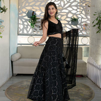 Black Organza Lehenga With Velvet Blouse