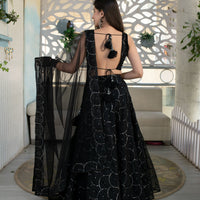 Black Organza Lehenga With Velvet Blouse