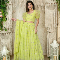 Monochrome Pastel Green Lehenga