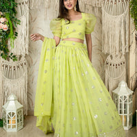 Monochrome Pastel Green Lehenga