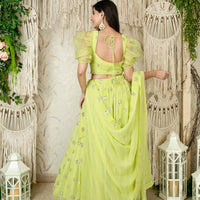 Monochrome Pastel Green Lehenga
